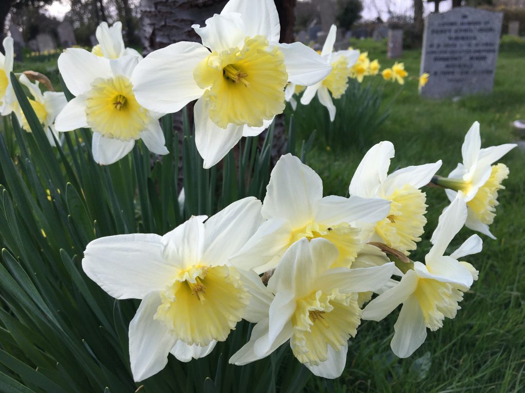 Our churchyards